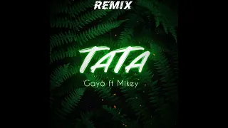 Gayo, Mikey - Тата (Remix) 2024 (official music audio)