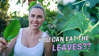 12 Edible Leaves from a Permaculture Garden 🌿Can you eat the Leaves?