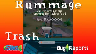 Sims 4 Rummage in Trash Bug Report