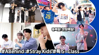 Really Variety Vlog😳 [AB VLOG] Stray Kids - S-Class | Hojun VLOG