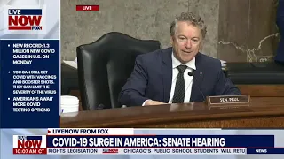 Rand Paul and Dr. Fauci HEATED exchange at COVID hearing | LiveNOW from FOX