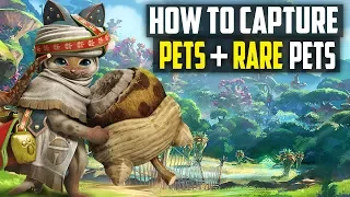How To FIND and CAPTURE RARE Pets In Monster Hunter World! MH World Tips and Tricks