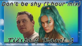 Karol G & Tiesto - Don't be shy (1 hour mix)