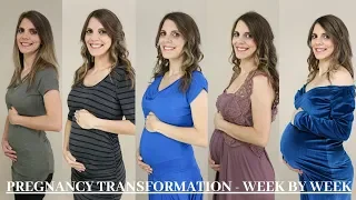 Weekly Pregnancy Transformation | Suelen Bowman