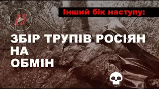 Збір російських трупів на обмін. Інший бік наступу 38-ї бригади на Таврійському напрямку