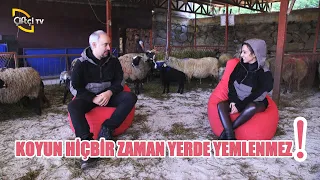 Tecrübelerimiz Kılavuzunuz Olsun! (Altın Değerinde Bilgiler) - Kuzu Fabrikası