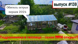 139 Гидропоника в теплице своими руками - сезон 2024! 16.05.2024