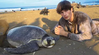 I Volunteered With Sea Turtles In Costa Rica (Life Changing)