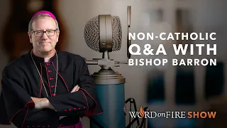 Non-Catholic Q&A w/ Bishop Barron (August 2020)