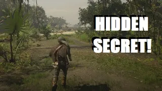 Guarma SECRET TRAIL Found and Hidden Arches in Red Dead Redemption 2!