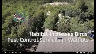 Habitat Increases Birds' Pest Control Services in Walnuts