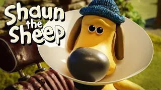 Cone of Shame | Shaun the Sheep Season 5 | Full Episode