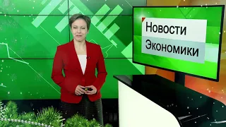 Новогоднее поздравление от Альбины Полищук