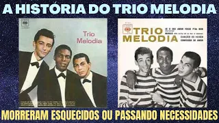 A HISTÓRIA DO TRIO MELODIA MORRERAM ESQUECIDOS OU PASSANDO NECESSIDADE