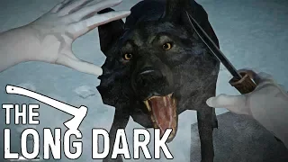 ТАНЦЫ С ВОЛКАМИ! ❆ THE LONG DARK