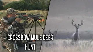 Crossbow Hunt for Giant Mule Deer in Wyoming | Throwback Thursday