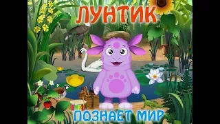 Лунтик познаёт мир. Полная версия. Мультик игра.