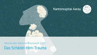 Das Schädel-Hirn-Trauma: Eine bildmorphologische Schadensbilanz