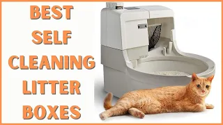 5 Best Self Cleaning Litter Boxes for 2023