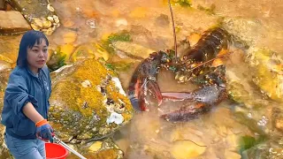 [ENG SUB] Xiao Zhang is driving the sea. There are many big lobsters and crabs by the sea! Also cap