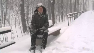 Поэзия русской зимы. Стихи. Читает Юрий Назаров.