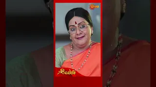 Sevanthi | #shorts | Udaya TV | Kannada Serial