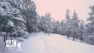 45 minutes of Relaxing Forest Walks in Snow, Finland - Slow TV 4K