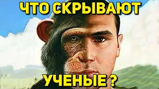 Невероятные АРТЕФАКТЫ скрывают УЧЕНЫЕ! ЭВОЛЮЦИЯ