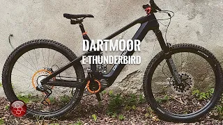 Bikecheck Dartmoor E-thunderbird, custom mod, ebike