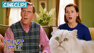 Snowbell's Plan Is Evil!  | Stuart Little | CineClips