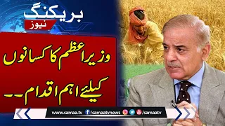 PM Shehbaz Sharif directs govt to purchase wheat from farmers | SAMAA TV |  27 April 2024