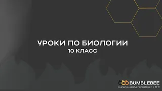 Методы исследования в биологии | 10 класс | Онлайн-школа Bumblebee 🐝