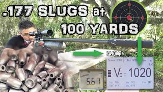 .177 Air Rifle Slug TEST at 100 Yards!! - FULL REVIEW - Daystate Red Wolf HP - Regulated PCP Airgun