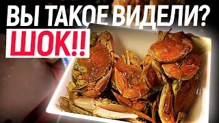 🙀 ШОК Вы такое видели? ШВЕДСКИЙ СТОЛ! Все Включено! Чем кормят в Турции в отеле 5 звезд