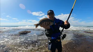 Bronze Bream Winter ACC Open