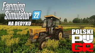 Farming simulator 22. Sianie kukurydzy. #4