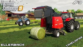 Mowing,windrowing & baling hay bale | Animals on Ellerbach | Farming Simulator 19 | Episode 3