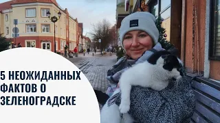 5 неожиданных фактов о Зеленоградске