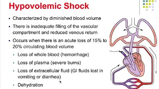 Pathophysiology Ch 20 Shock