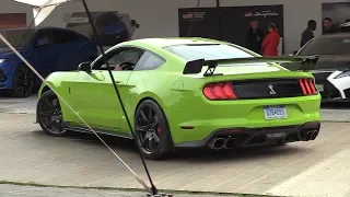 2020 Ford Mustang Shelby GT500 - Start, Brutal SOUNDS, Burnout!