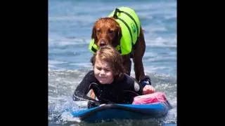 Surf Dog Ricochet surfs with brain injured 6 year old