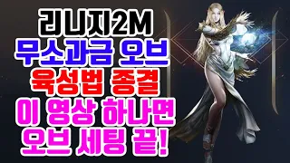 리니지2m 오브 초보 템/스킬 등 세팅 종결.무과금 입문,오브 클래스 전향은 이 영상 하나로 끝! | 센터로드 TV