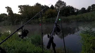 Brania Karpi i Amurów 2022 Carp run Takie Były Brania. Branie w nocy. Brania rybCarp Run COMPILATION