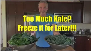 How to Preserve Kale for the Winter