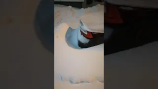 В Москве снежок выпал.