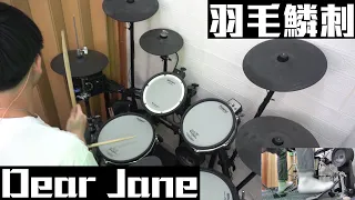 [Henryy] | Dear Jane | 羽毛鱗刺 Feathers and Scales | Drums Cover | 因為中版權所以版逼要轉音軌 :(