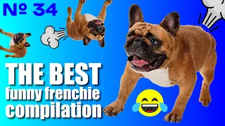 French Bulldogs Funny Moments & Fails Compilation #34