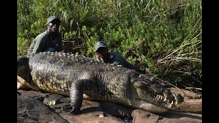 Monster Crocodile of South Africa