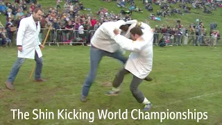 OW! - The World Shin-Kicking Championships