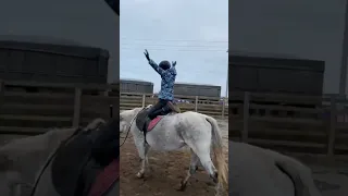 Вольтижировка обучение. Vaulting training.